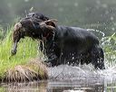 20180602-shrw-0710