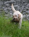 20180602-shrw-0757