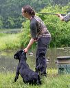 20180602-shrw-0795