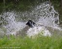 20180602-shrw-0799