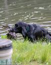 20180602-shrw-0842