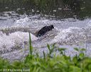 20180602-shrw-0857