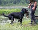 20180602-shrw-0871