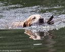 20180602-shrw-1030