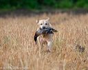 20180603-finl-0012