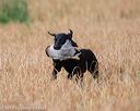 20180603-finl-0093