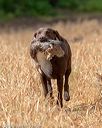 20180603-finl-0245