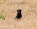 20180603-finl-0301