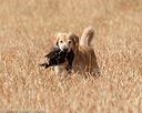 20180603-finl-0413