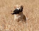 20180603-finl-0419