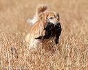 20180603-finl-0424