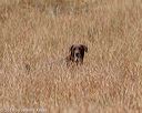 20180603-finl-0453