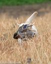 20180603-finl-0487