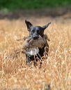 20180603-finl-0526