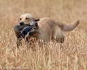20180603-finl-0590