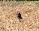 20180603-finl-0650