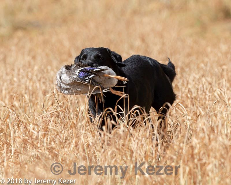 20180603-finl-0307.jpg