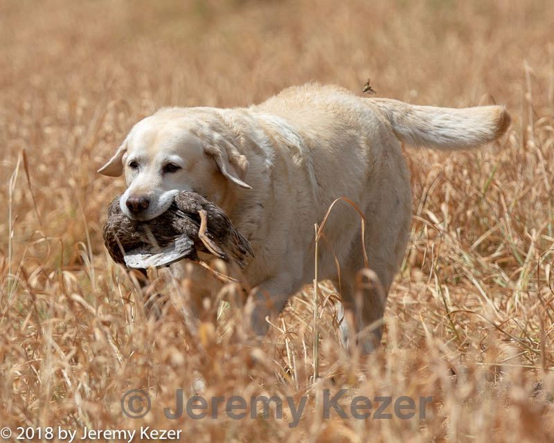 20180603-finl-0701.jpg