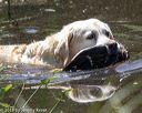 20180603-finw-0381