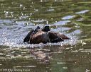 20180603-finw-0484