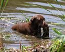 20180603-finw-0514