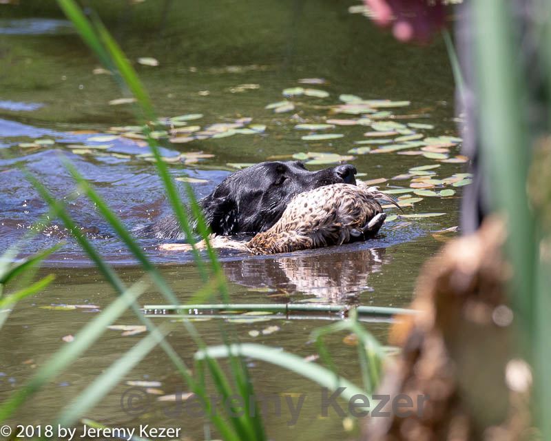 20180603-finw-0057.jpg