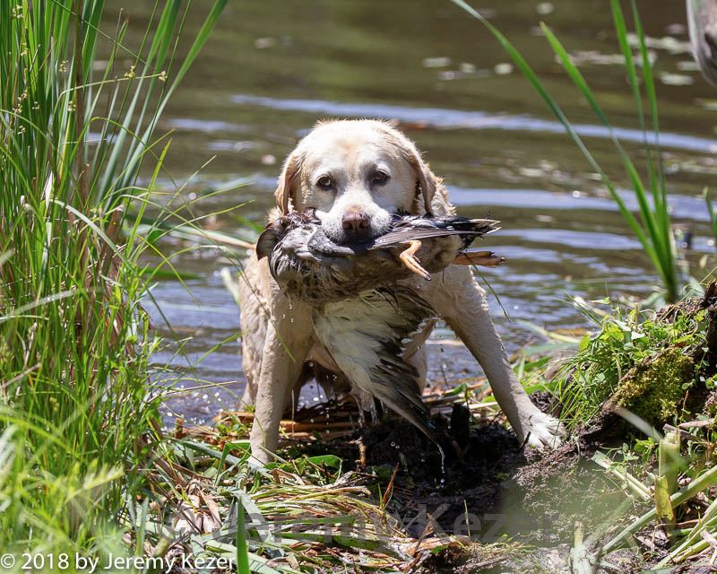20180603-finw-0415.jpg