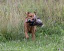 20180804-jhl-0168