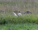 20180804-jhl-0295