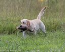 20180804-jhl-0496