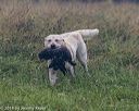 20180804-jhl-0723