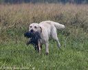 20180804-jhl-0728
