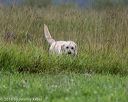 20180804-jhl-0788