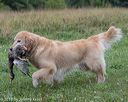 20180804-jhl-1120