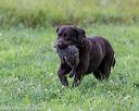 20180804-jhl-1329