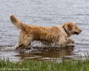 20180804-jhw-0160