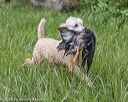 20180804-jhw-0194
