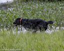 20180804-jhw-0433