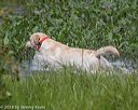 20180804-jhw-0571