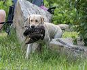 20180804-jhw-0574