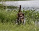 20180804-jhw-0623