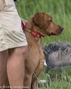 20180804-jhw-1042