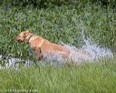 20180804-jhw-1127