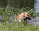 20180804-jhw-1145