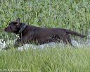 20180804-jhw-1225