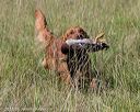 20180805-shl-0679
