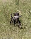 20180805-shl-0797
