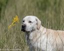 20180805-shl-0870