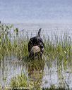 20180805-shw-0347