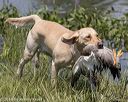 20180805-shw-0577